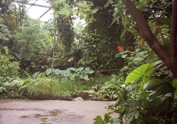 2004 Eene besuch im Zoo